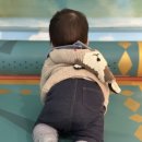 송파제일어린이집 | 북키움 솔직후기｜8개월 아기랑도 만족했던 송파책박물관북키움 육아꿀팁