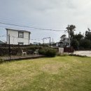 코난민박 이미지