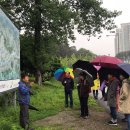 세종보 입구 이미지