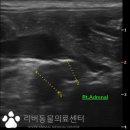 언양동물병원 이미지