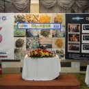 서부마트 이미지