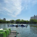 2시스템 태양광발전소 이미지