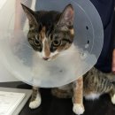 라이프동물병원 이미지