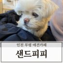 운동장 | 인천 부평 애견카페 샌드피피 실내운동장 내돈내산 후기
