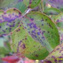 목원농장 이미지