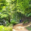 회동수원지 공중화장실 이미지