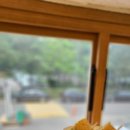 노원역 포케 맛집 &#39;다이어트모드&#39; 로컬 식자재를 활용한 샐러드 샌드위치 건강 간편식