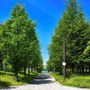 향남2 화합공원 인라인스케이트장 이미지