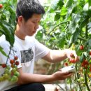 양현농장 이미지