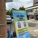 2025 DMZ 피스트레인 페스티벌 라인업 가는길 분비자 후기 꿀팁