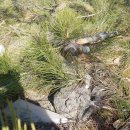 한솔농원 이미지