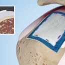 123스텝업병원 이미지