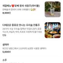 451 | [수원] 행궁동 분위기 좋은 술집 추천, 당술샘 후기