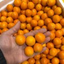 남악1로 42번길 이미지