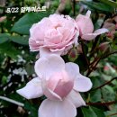 알케미스트 이미지