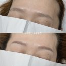 풀립농장 | 자연스런눈썹반영구추천후기슈라인눈썹산사모산본역눈썹헤어라인입술틴트풀립마스크화장눈만아이라인...