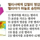 원정들3 이미지