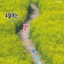 수림결혼정보 이미지