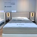 대구 금성침대 원대점 신혼 매트리스 추천(ft. 내돈내산 100%)