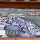 경북 안동 국화축제 이미지