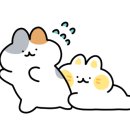 줌줌분식