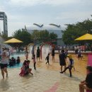 당진종합운동장 이미지