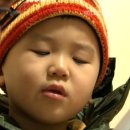 고양이 모자 이미지