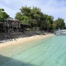 물고기(물과의 만남 | 인생샷 건지게 도와준 프라이빗 길리 프리다이빙 투어 후기, 금액, 예약, 소요시간, 강사(칸다르) 찐추천