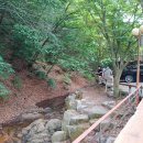 인동농업협동조합주유소 이미지