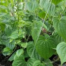 태성농자재 이미지