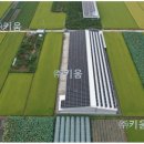 초이 태양광발전소 이미지