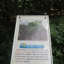 토월약수터 이미지