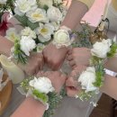 스테이소롯