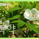 백작약 [국립수목원 우리꽃 이야기. 115] 이미지
