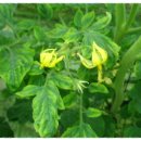 이가네농장 이미지