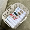 힐링데이펜션(어게인) | 충남 당진 “파머스데이” 애견 독채 펜션 재방문 후기