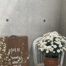 {순천 디마브} 호수공원 브런치 맛집 내돈내산 솔직후기 ❣️