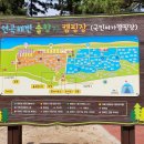 연곡해변 솔향기캠핑장 이미지