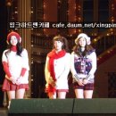 핑크하트 Daum카페