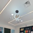 오늘DOG예쁨 이미지