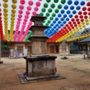 칠장사 부도군 이미지