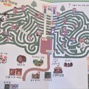 김녕미로공원 티스토리