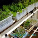 도시부엌 이미지