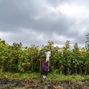 김정숙 농장 이미지