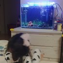 비즈아쿠아수족관 이미지