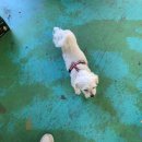 허당농산 이미지
