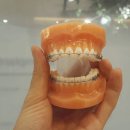 세라믹치과의원 이미지