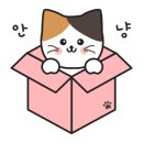해달안경콘택트 이미지