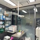 동백동물병원 이미지