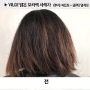 제이헤븐
